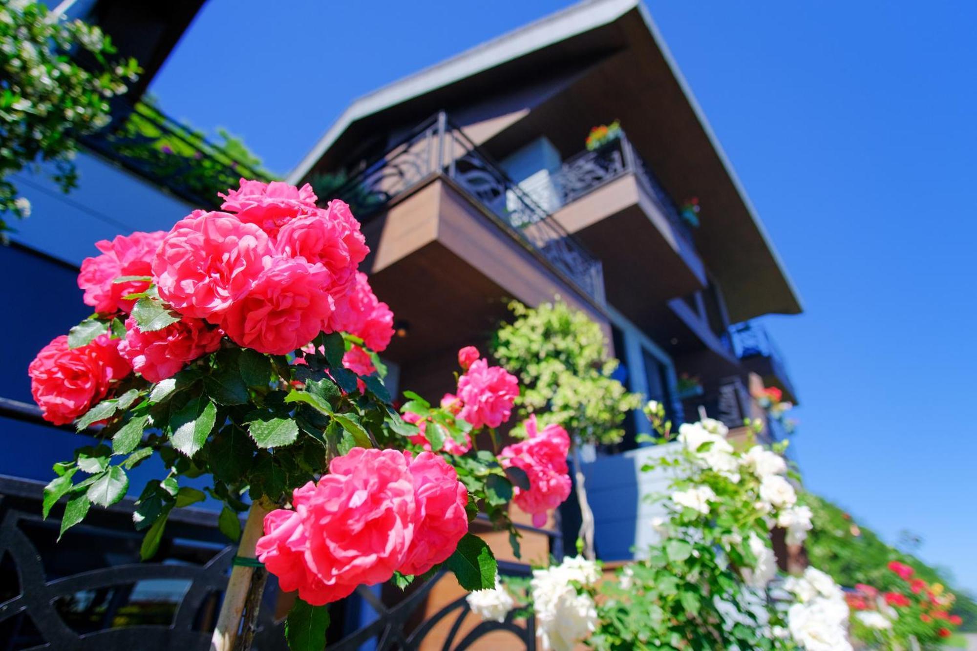 Peerless Villas Hotel Trabzon Luaran gambar